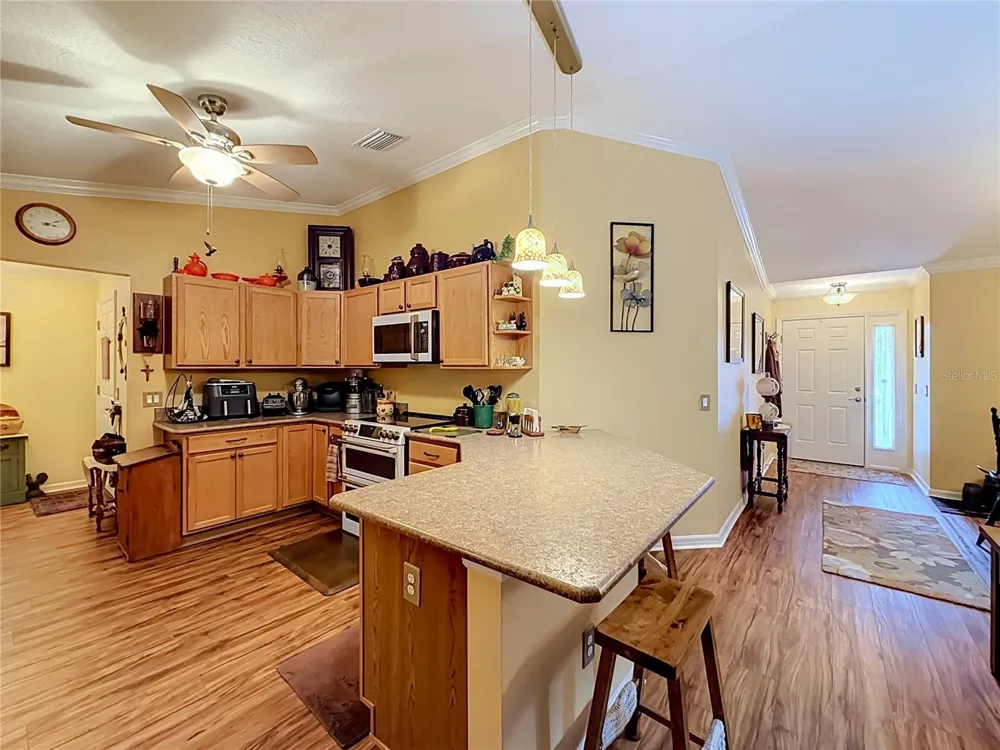 1016 MATTHEW AVENUE Lady Lake, FL 32159