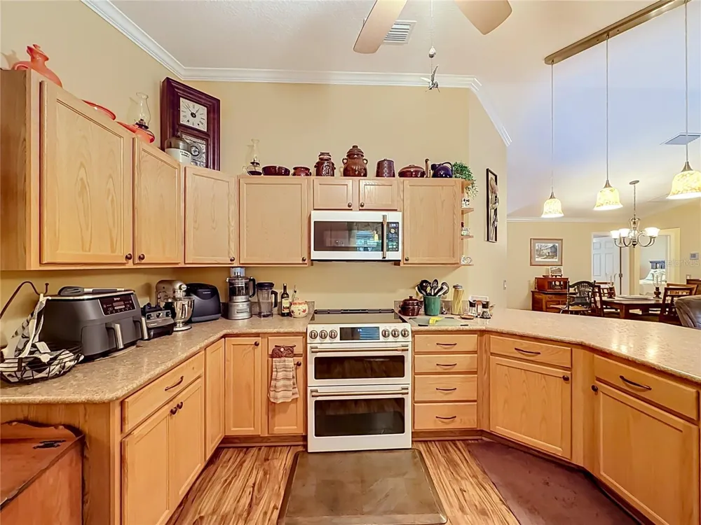 1016 MATTHEW AVENUE Lady Lake, FL 32159