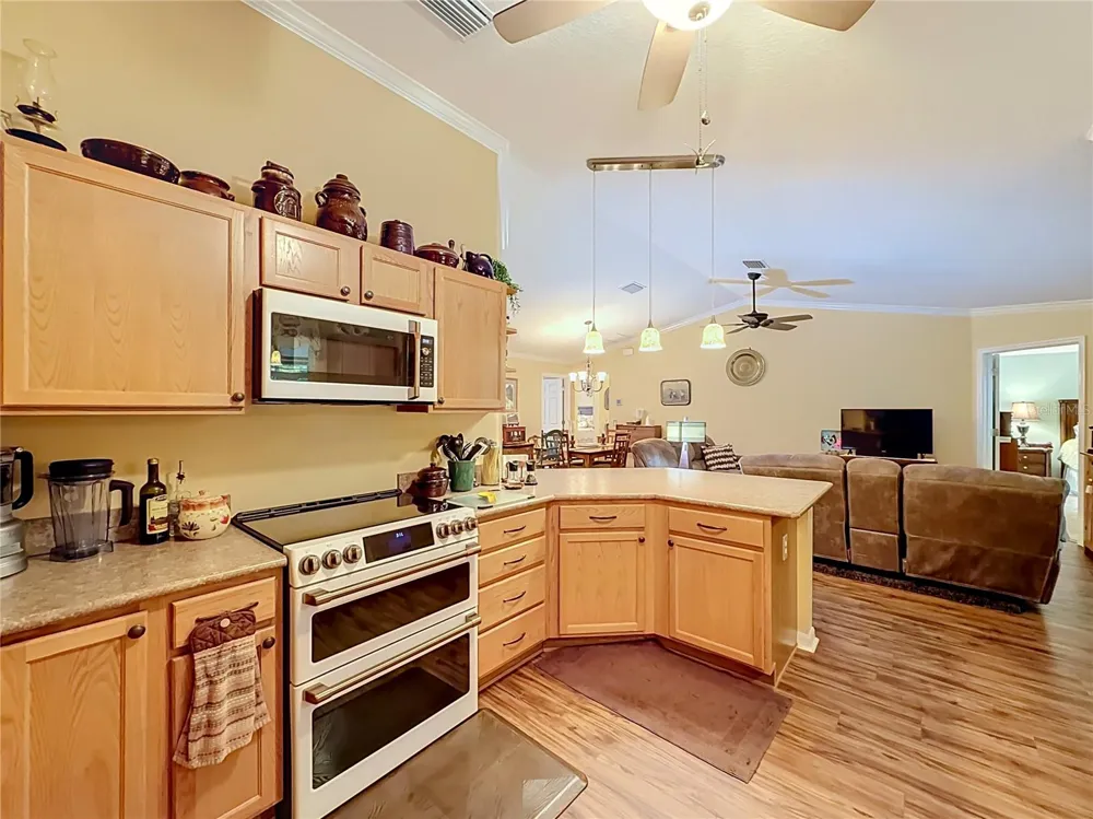 1016 MATTHEW AVENUE Lady Lake, FL 32159