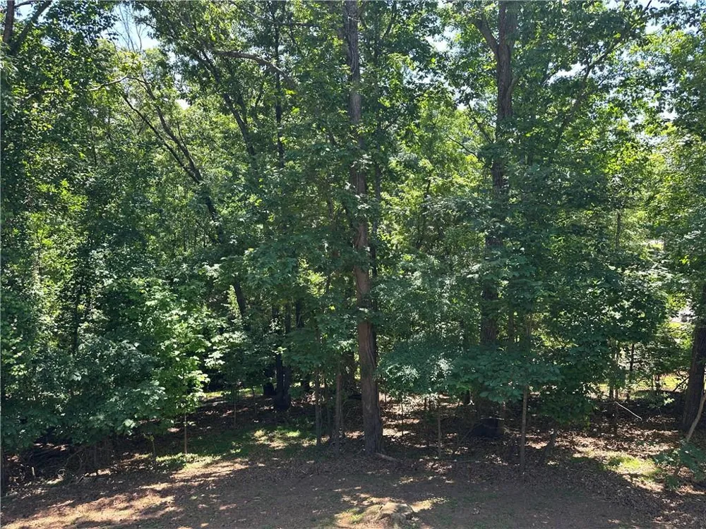 3305 Maple Ridge Court Suwanee, GA 30024