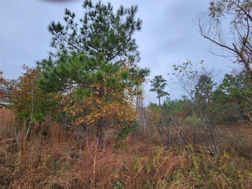 Mahalo Court Bastrop, TX 78602