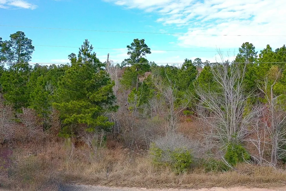 Mahalo Court Bastrop, TX 78602