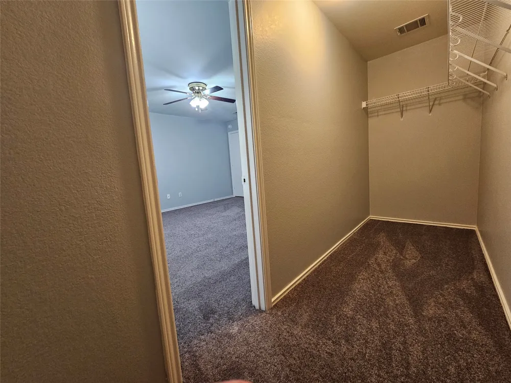 149 Buttercup Way Kyle, TX 78640