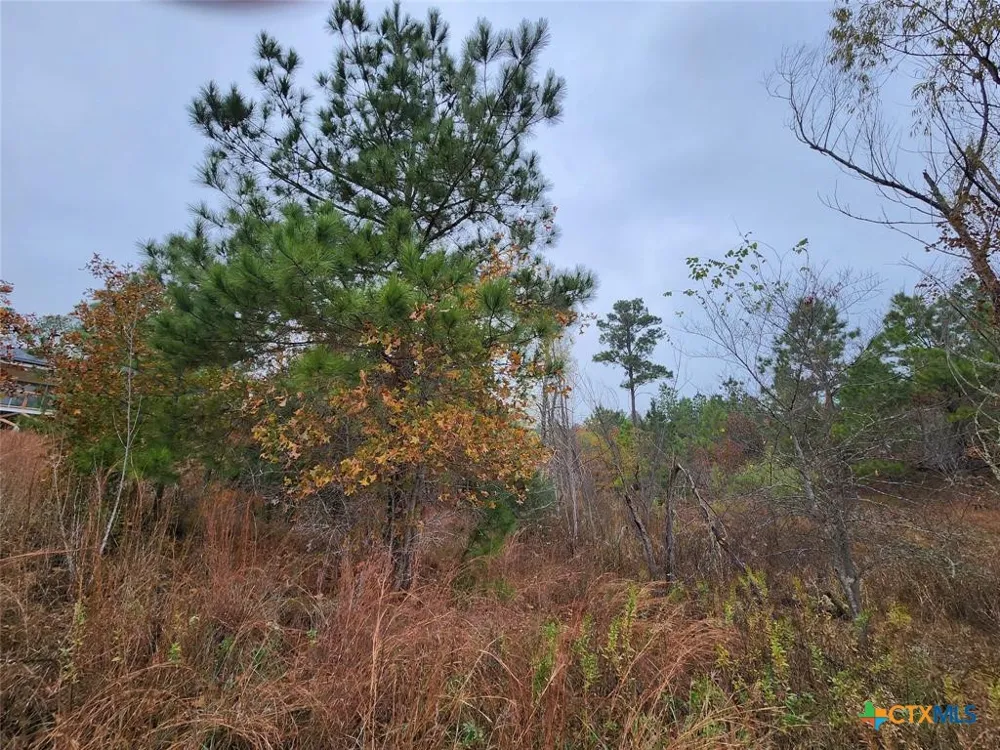 Mahalo Court Bastrop, TX 78602