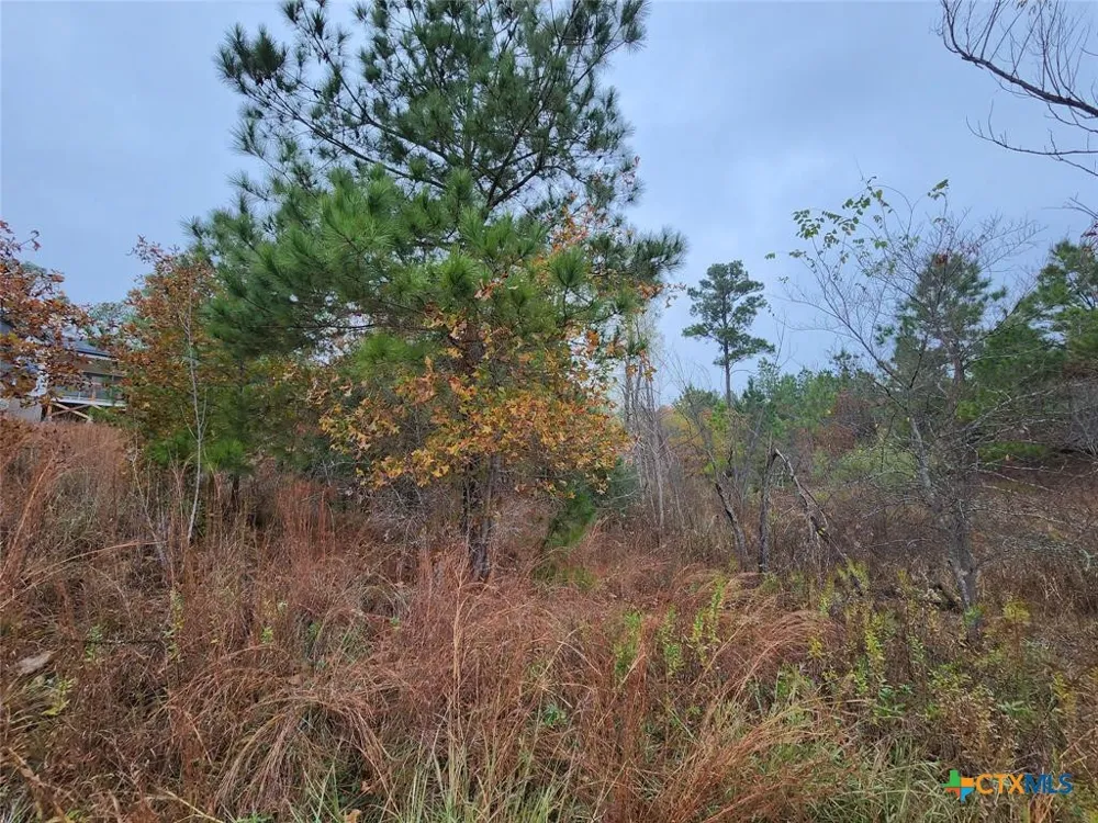 Mahalo Court Bastrop, TX 78602