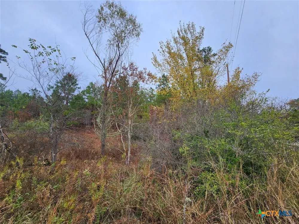 Mahalo Court Bastrop, TX 78602
