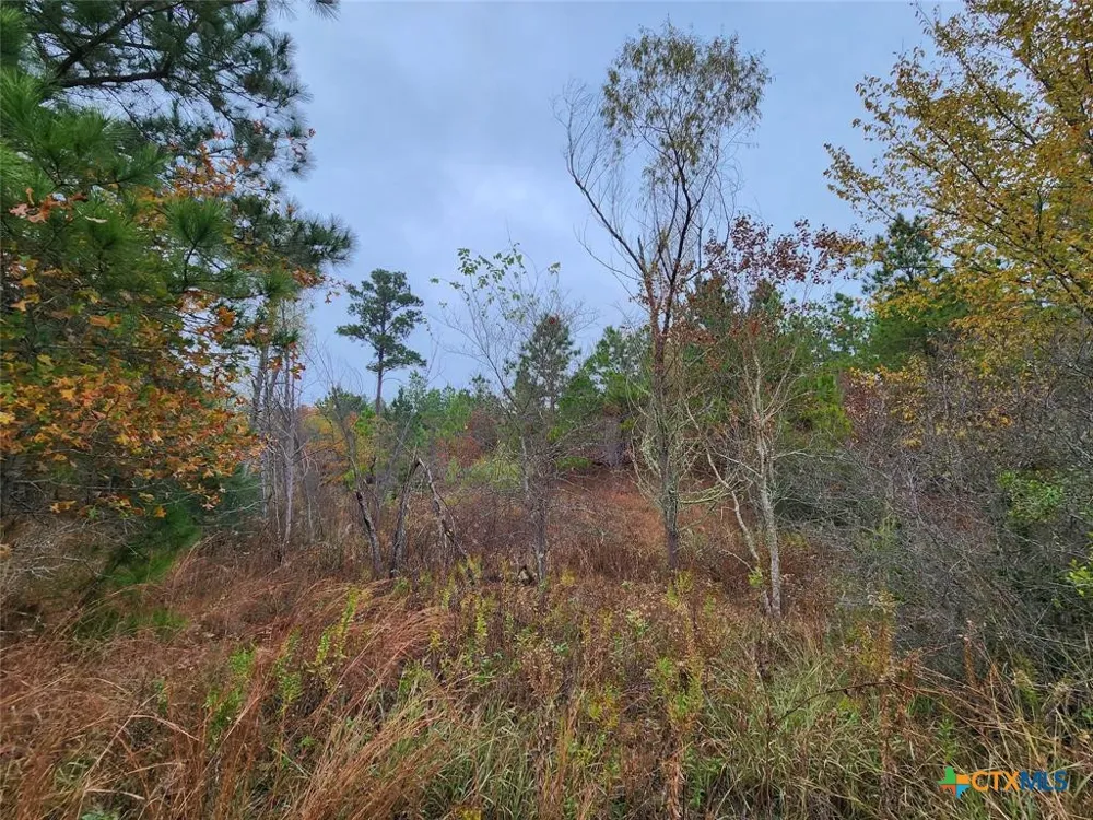 Mahalo Court Bastrop, TX 78602