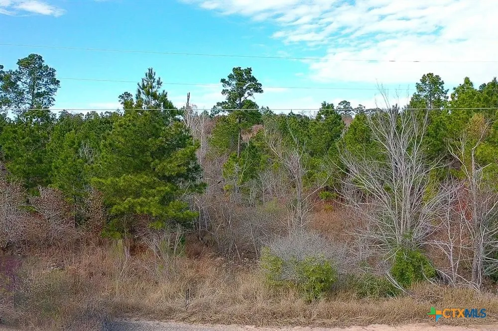 Mahalo Court Bastrop, TX 78602