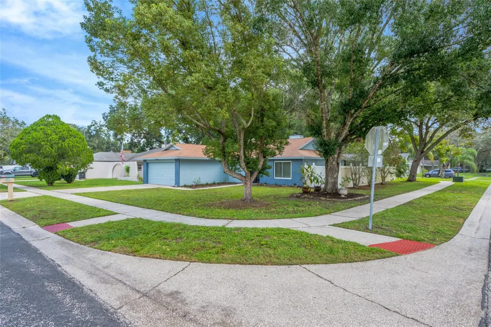 17717 CRANBROOK DRIVE Lutz, FL 33549