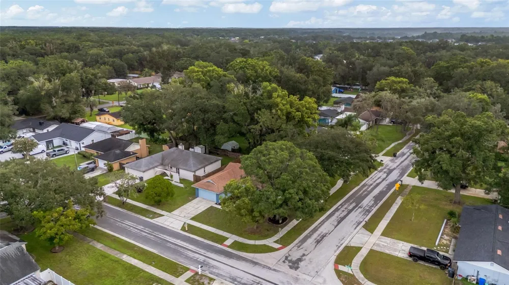 17717 CRANBROOK DRIVE Lutz, FL 33549