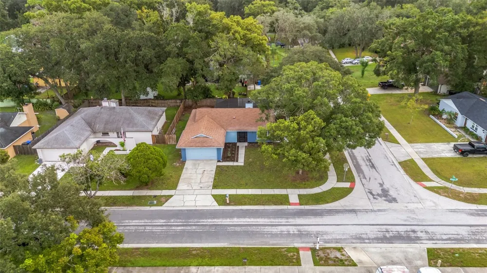17717 CRANBROOK DRIVE Lutz, FL 33549