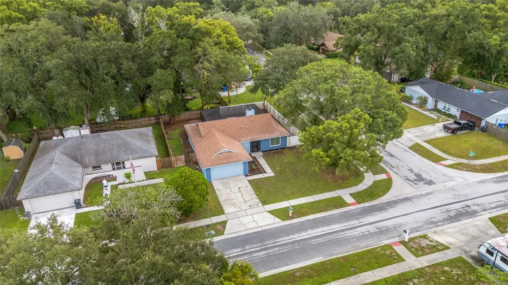 17717 CRANBROOK DRIVE Lutz, FL 33549