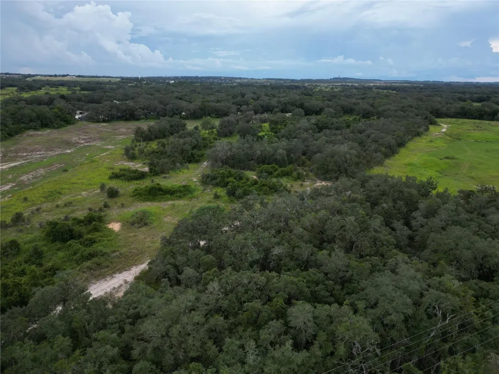 667 CAPPS ROAD Lake Wales, FL 33898