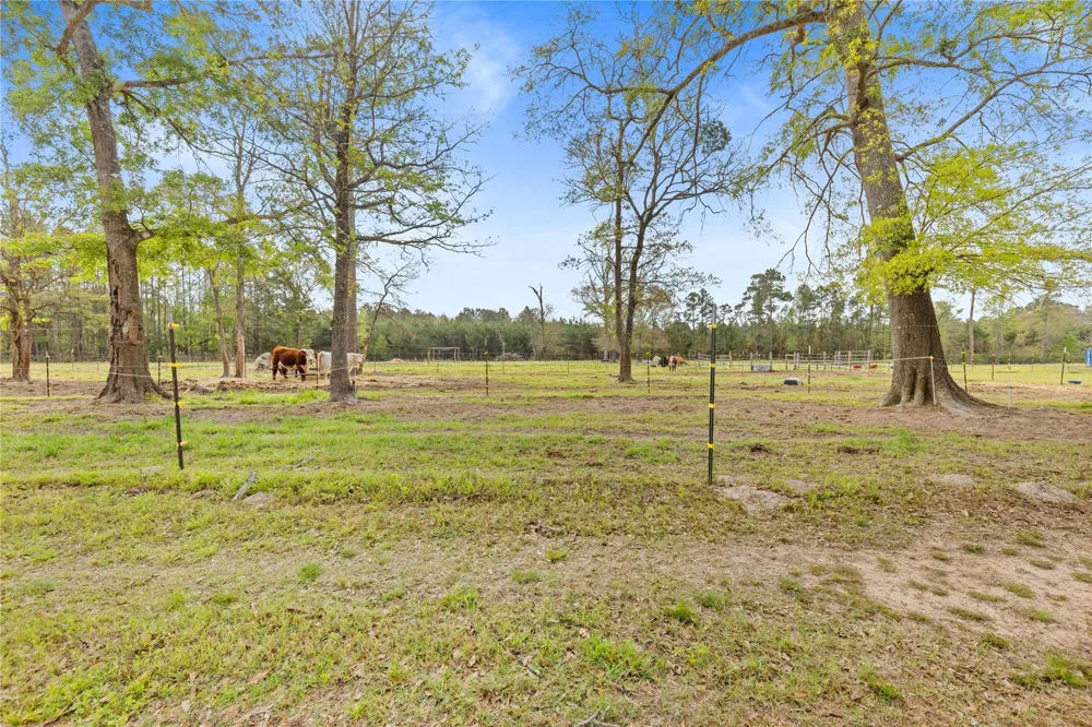 110 Southwood Forest Road Huntsville, TX 77340