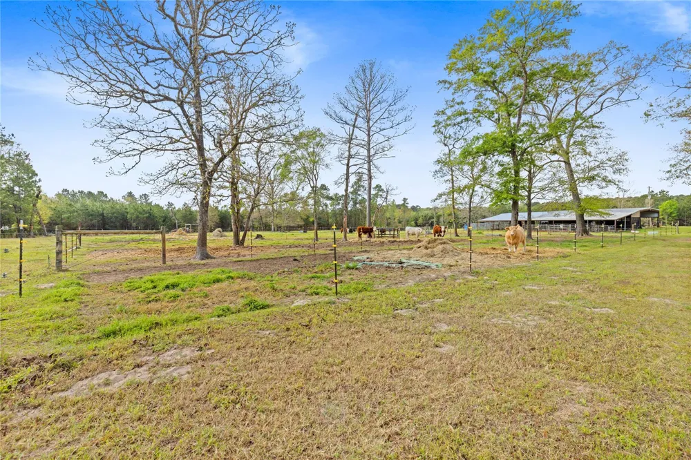 110 Southwood Forest Road Huntsville, TX 77340