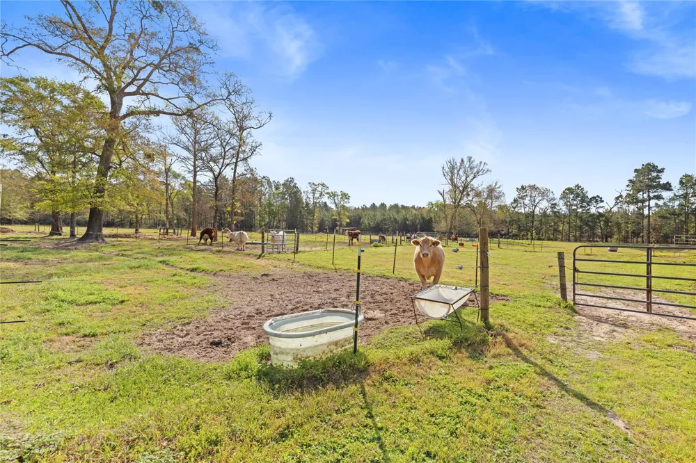110 Southwood Forest Road Huntsville, TX 77340