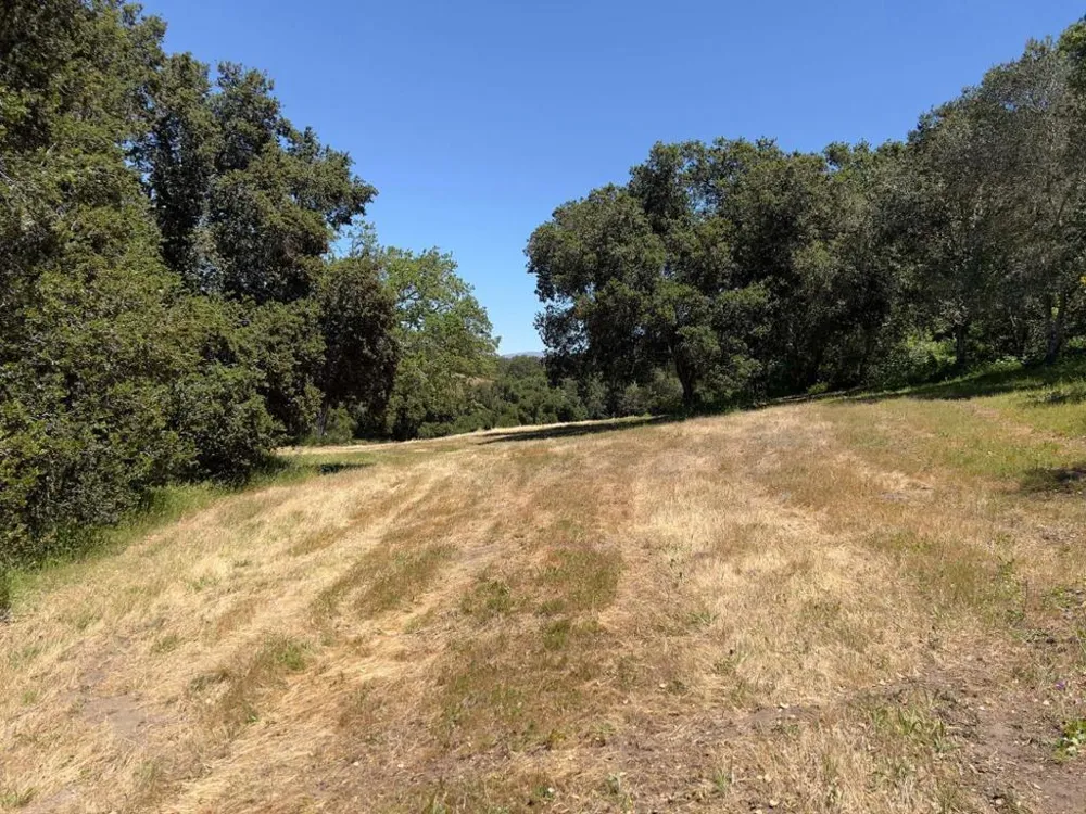 3 Ohlone Trace Carmel, CA 93923