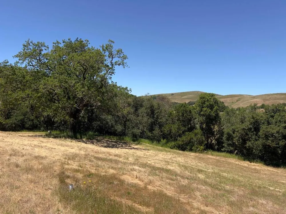 3 Ohlone Trace Carmel, CA 93923