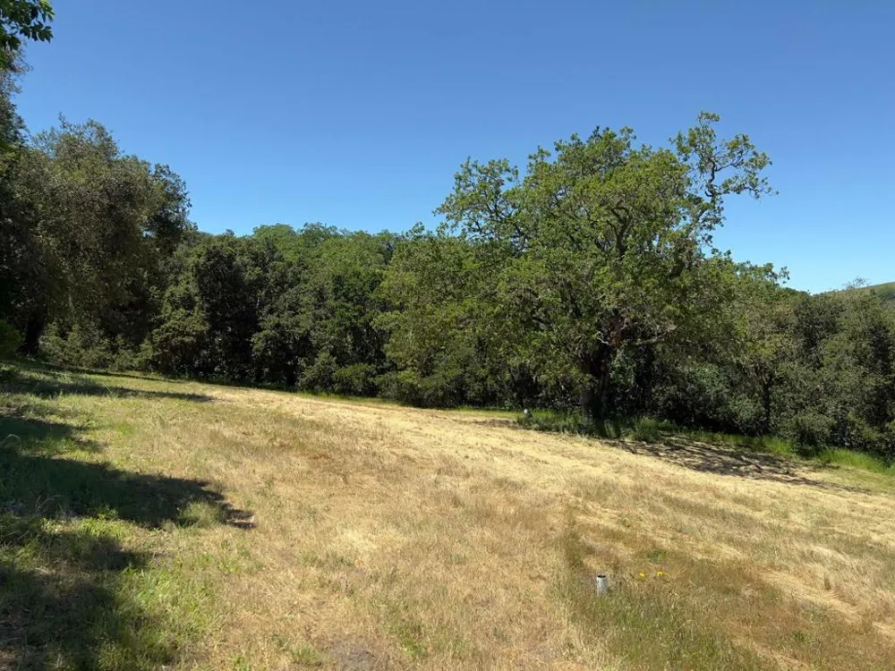 3 Ohlone Trace Carmel, CA 93923