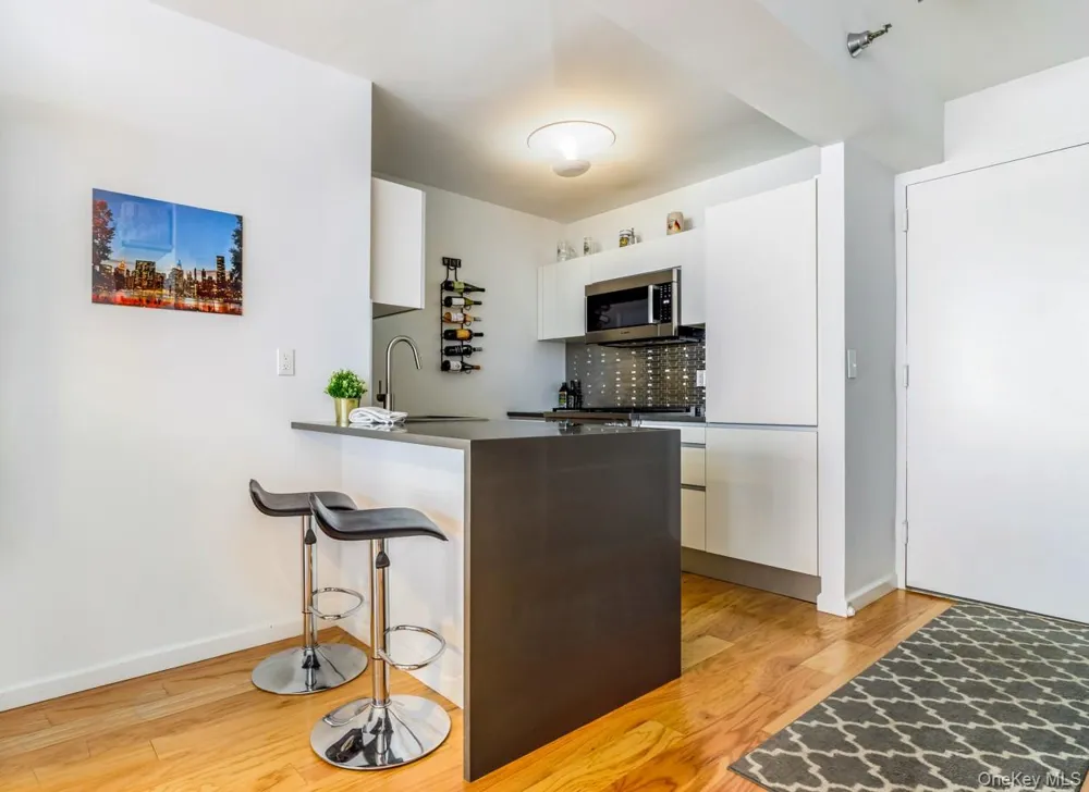 474 48th Avenue #28E Long Island City, NY 11109
