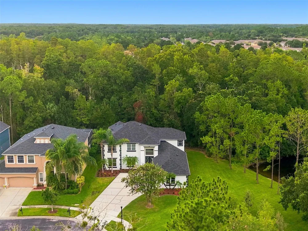 3519 LOGGERHEAD WAY Wesley Chapel, FL 33544