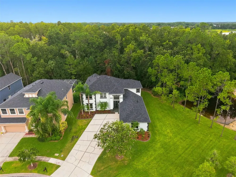 3519 LOGGERHEAD WAY Wesley Chapel, FL 33544