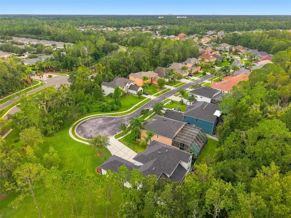 3519 LOGGERHEAD WAY Wesley Chapel, FL 33544