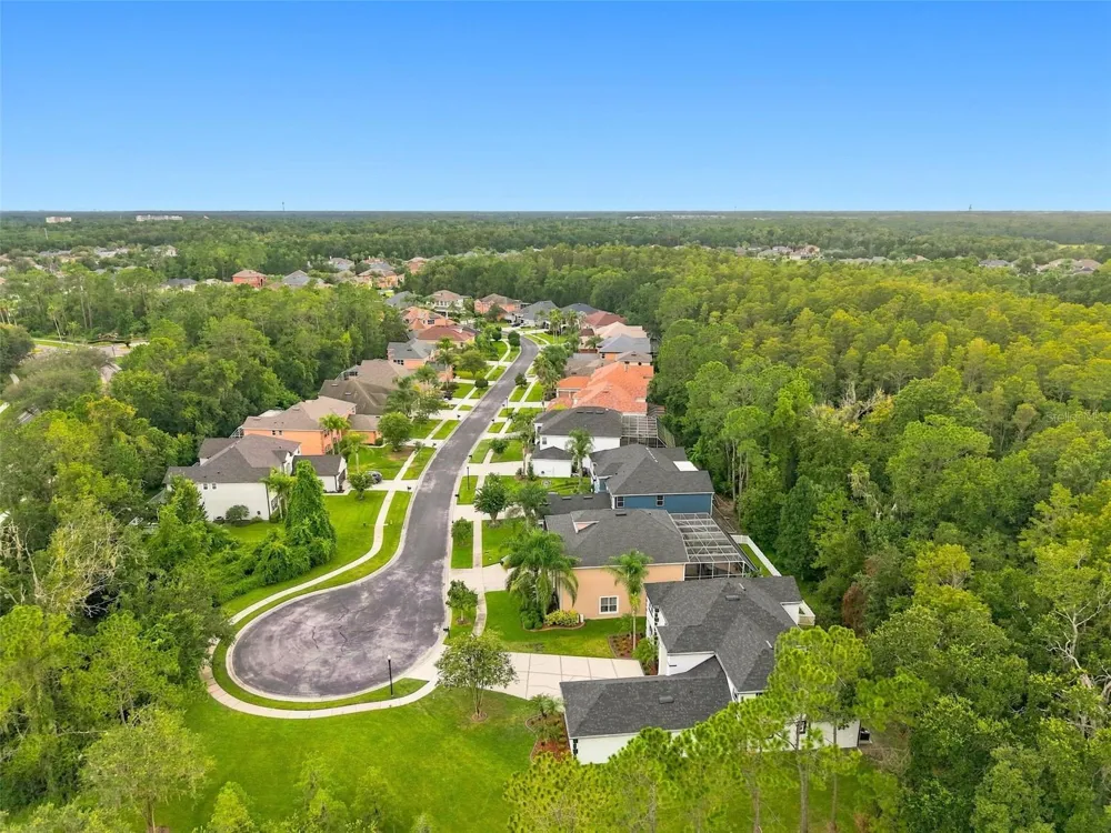 3519 LOGGERHEAD WAY Wesley Chapel, FL 33544