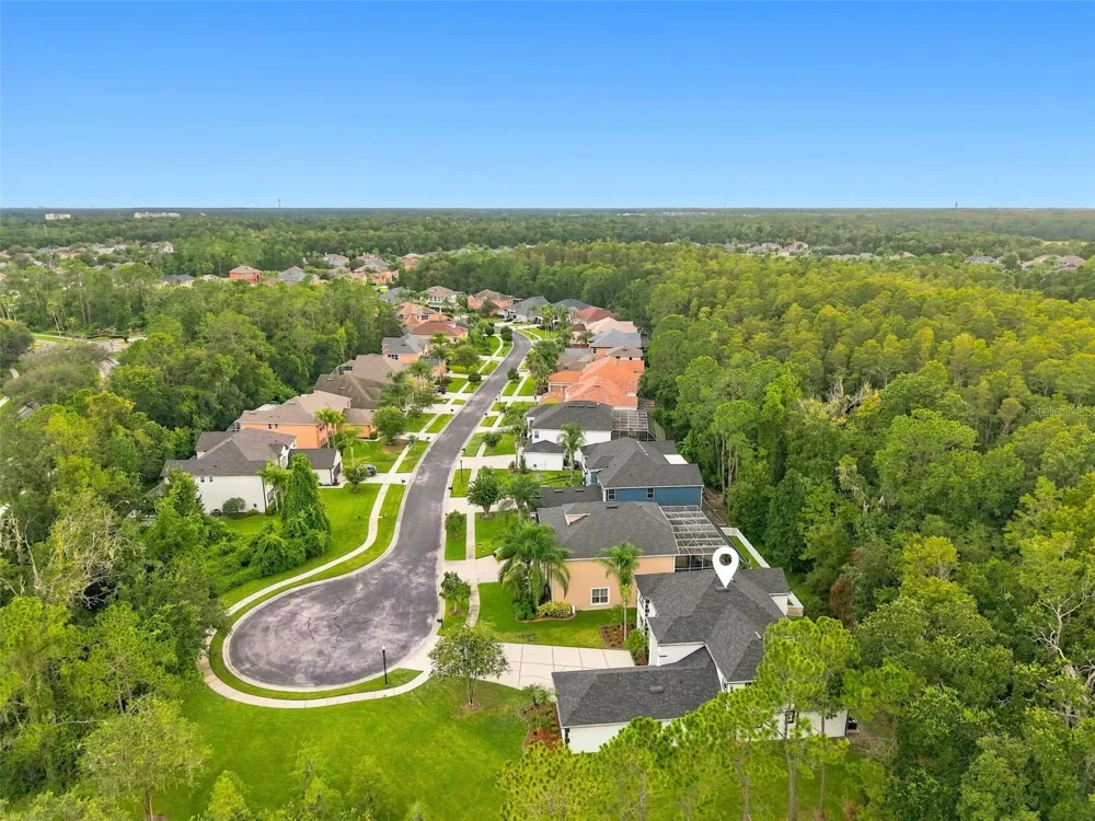 3519 LOGGERHEAD WAY Wesley Chapel, FL 33544