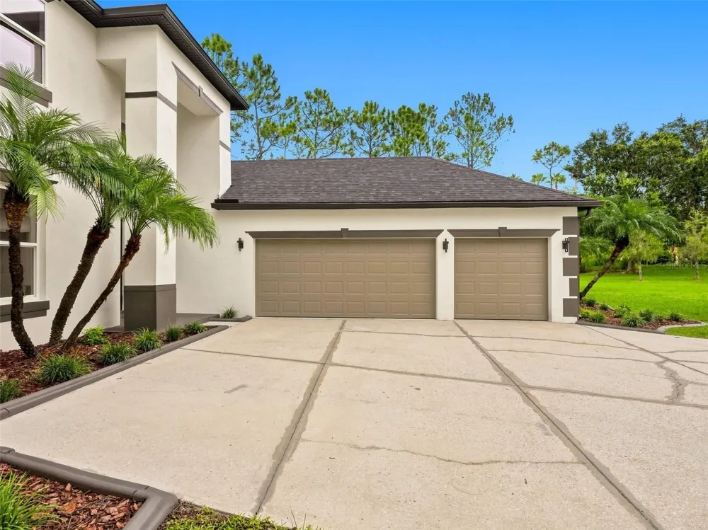 3519 LOGGERHEAD WAY Wesley Chapel, FL 33544