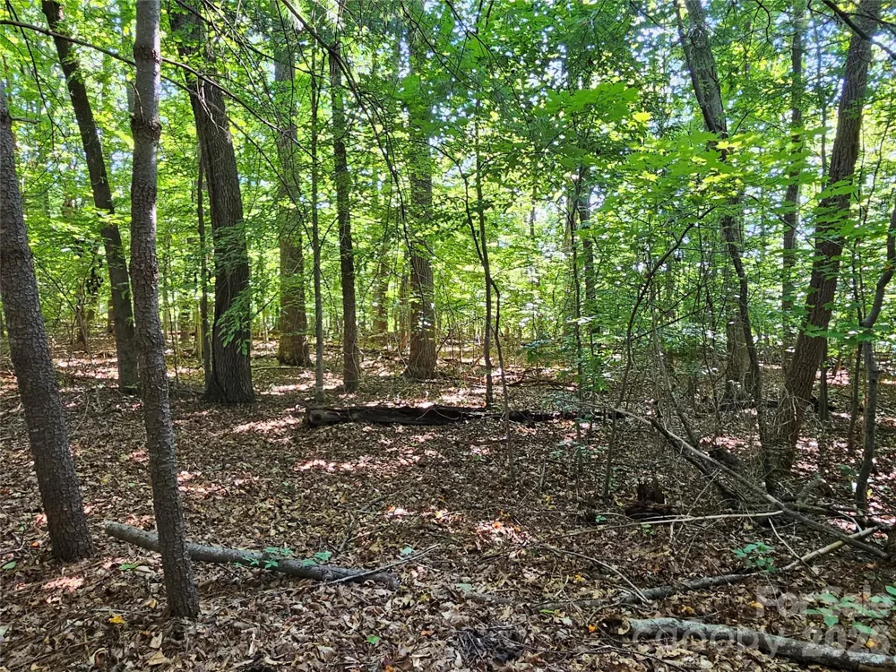 5086 Burkemont Road Morganton, NC 28655