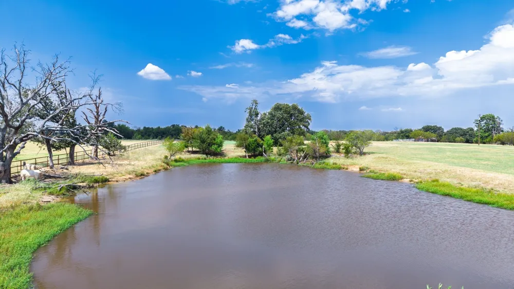 1351 S State Highway 19 Sulphur Springs, TX 75440
