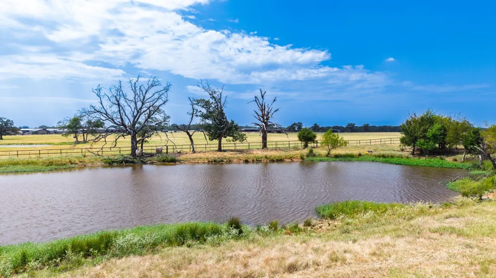 1351 S State Highway 19 Sulphur Springs, TX 75440