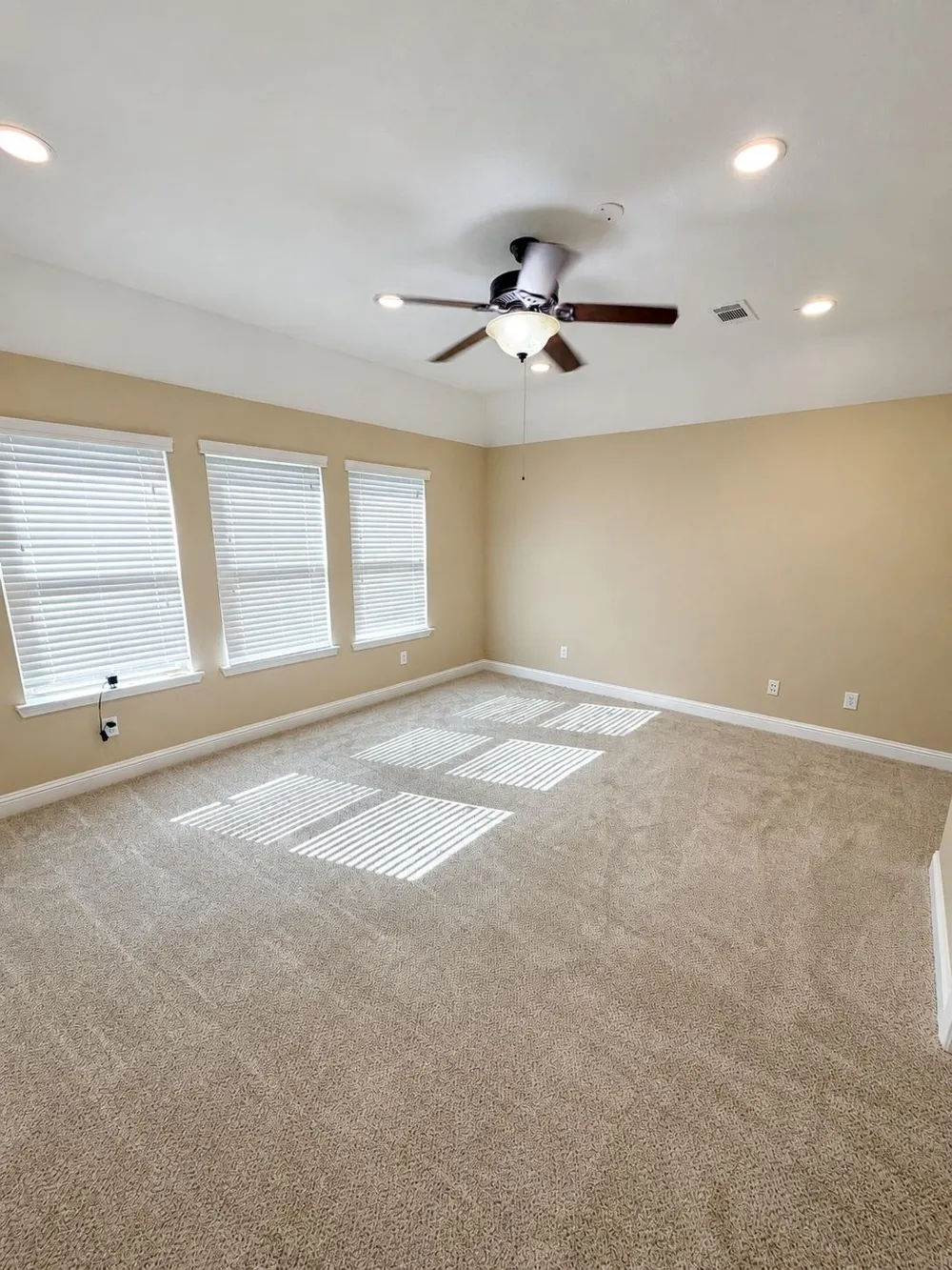 20507 Kurz Point Drive Richmond, TX 77406