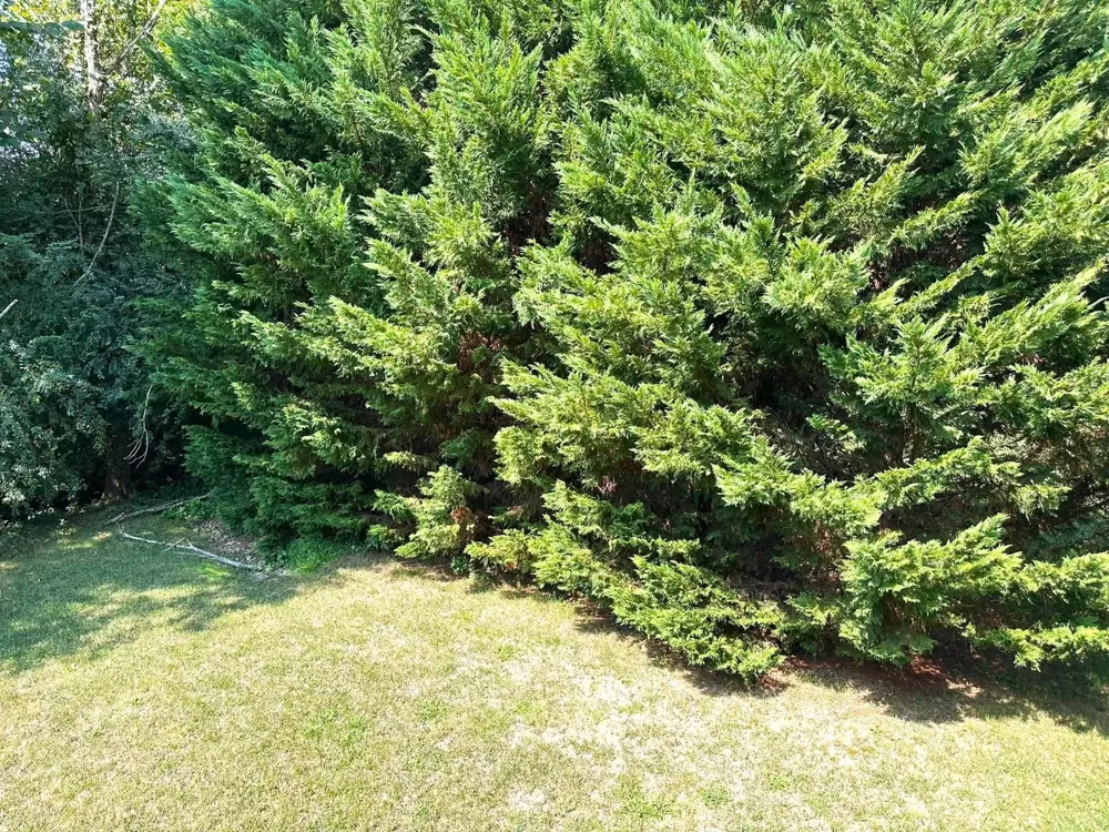1826 Preservation Dr NE Cleveland, TN 37323