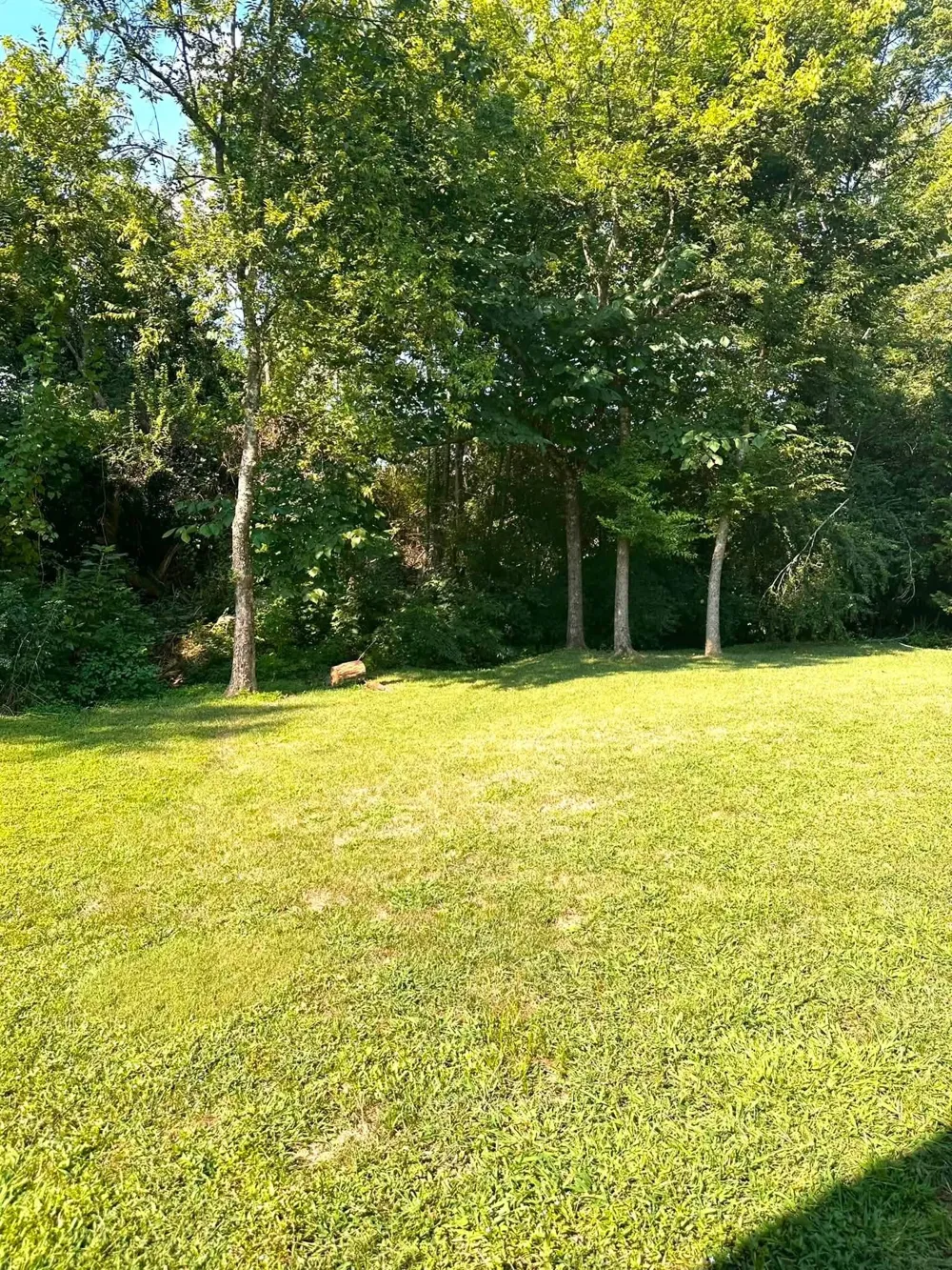 1826 Preservation Dr NE Cleveland, TN 37323