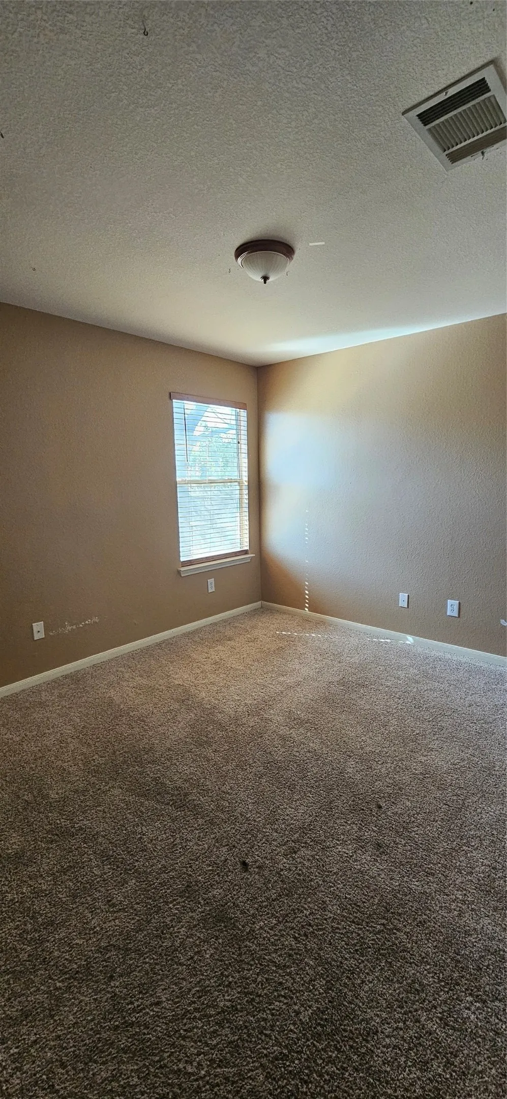 107 HELEN Cove Hutto, TX 78634
