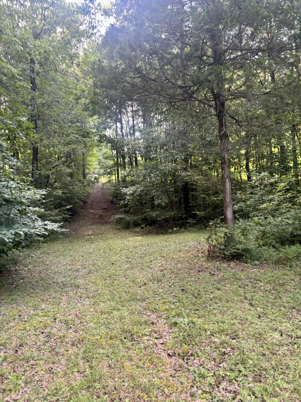 901 Osment Rd SE Cleveland, TN 37323