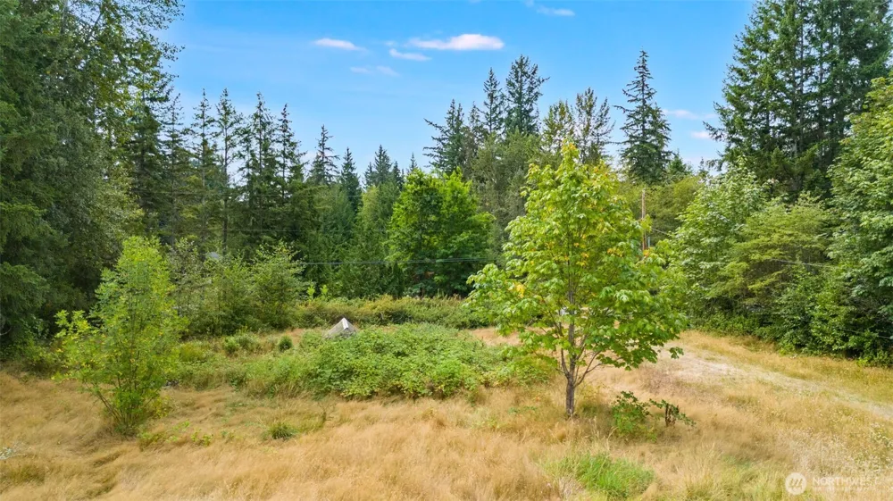 25006 SE 224th Street Maple Valley, WA 98038