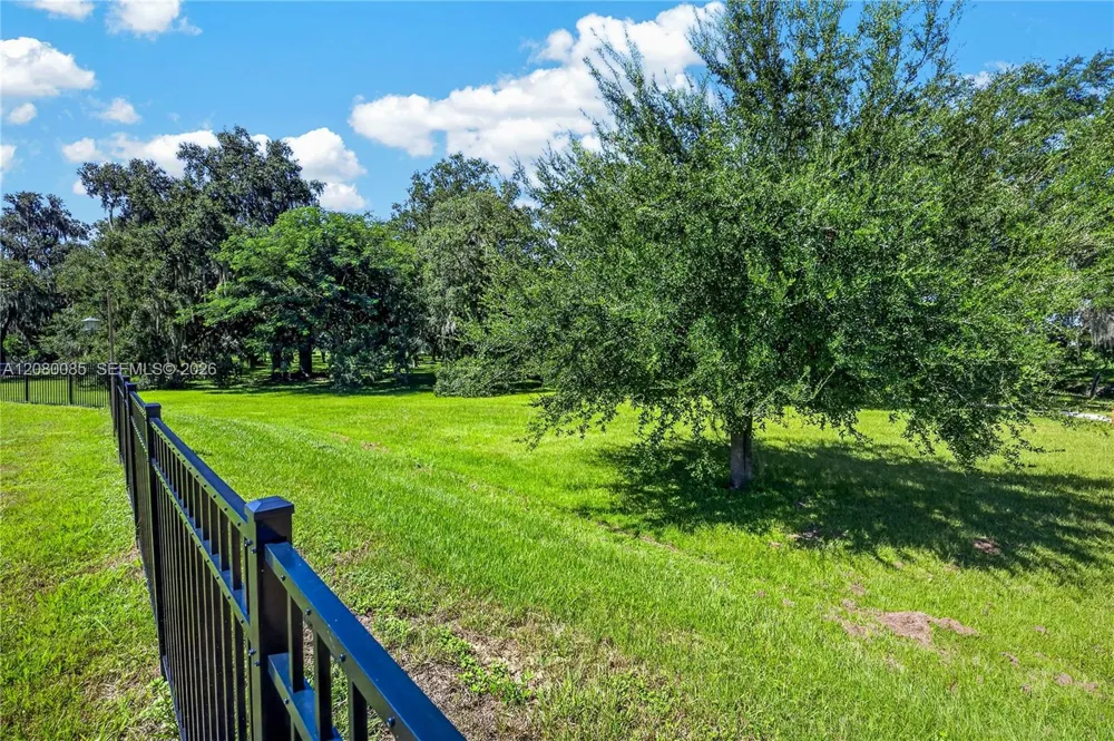 1924 TURTLE DOVE LN Kissimmee, FL 34746