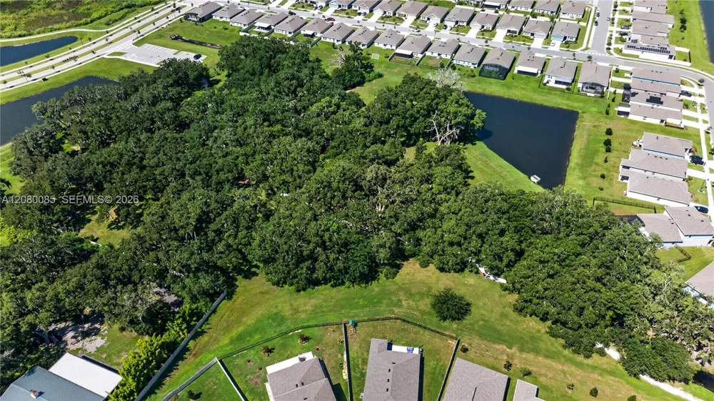 1924 TURTLE DOVE LN Kissimmee, FL 34746