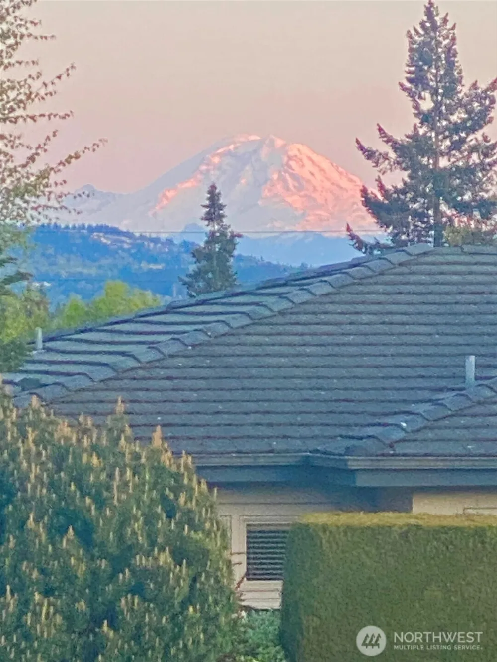 9810 Vineyard Crest Bellevue, WA 98004