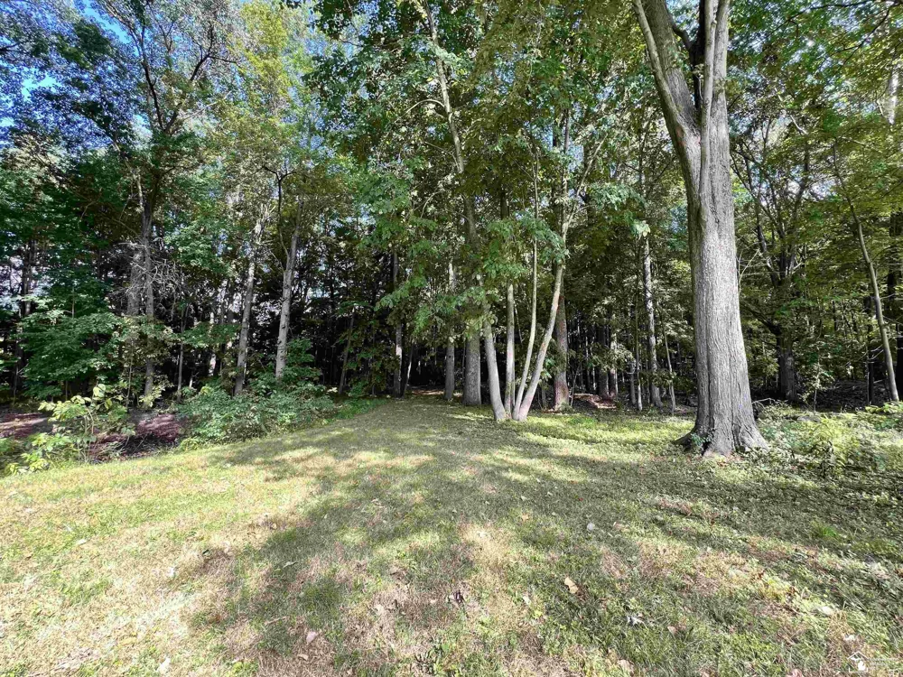 38850 Barth Street Romulus City, MI 48174