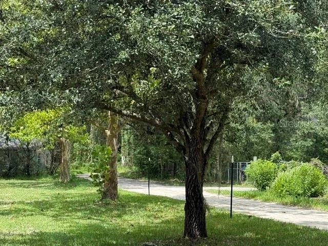 14236 SW 76TH WAY Lake Butler, FL 32054