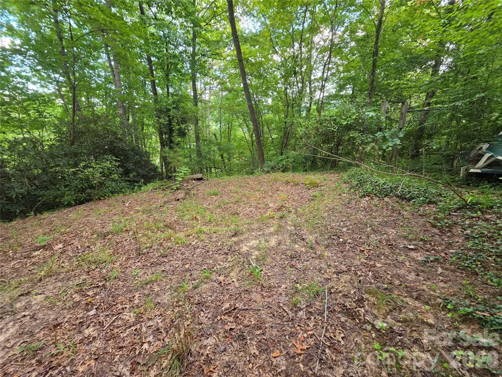 40 Gunches Dirt Road Candler, NC 28715