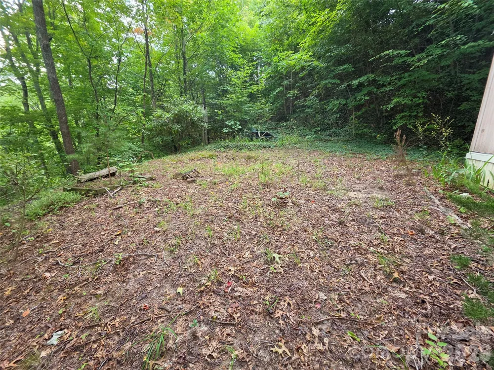 40 Gunches Dirt Road Candler, NC 28715
