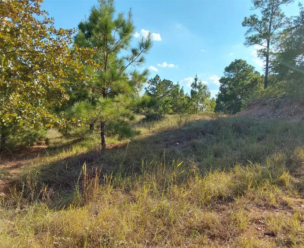 909 Hana Court Street Bastrop, TX 78602