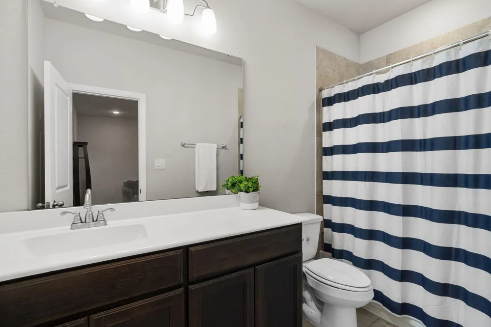 2622 Big Vine Court Missouri City, TX 77459