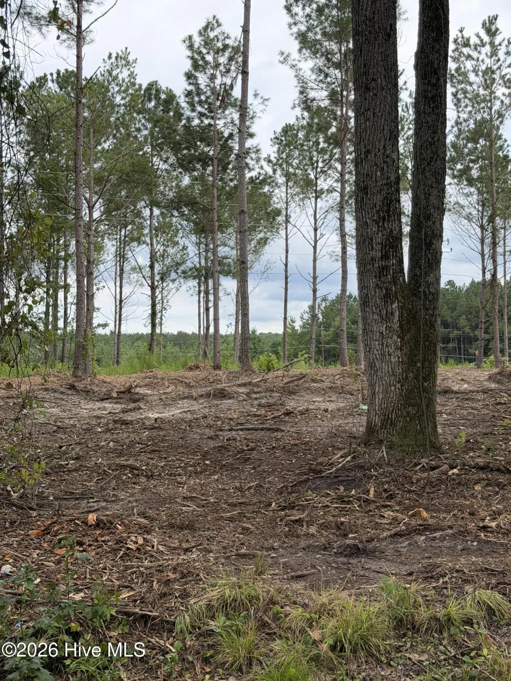 Tbd/Lot 1 Elmore Laurinburg, NC 28352