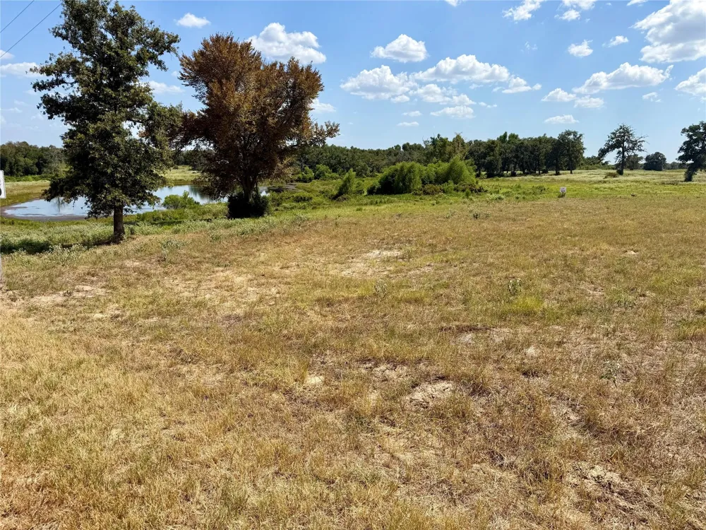 3803 Pr 4100 W Marquez, TX 77865